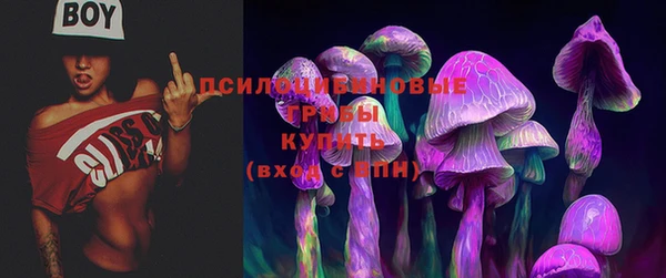 шишки Балахна