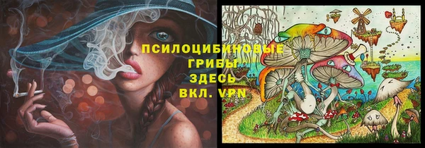 ALPHA PVP Баксан