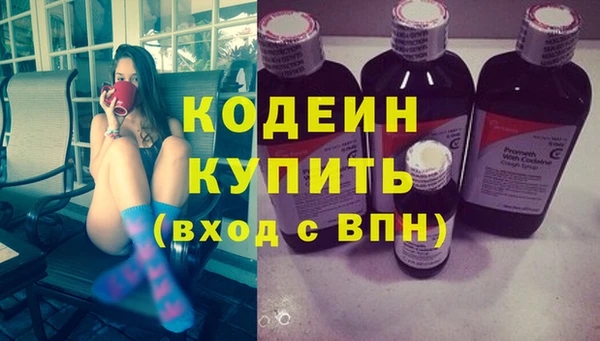 шишки Балахна