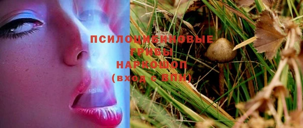 шишки Балахна