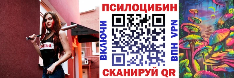 Псилоцибиновые грибы MAGIC MUSHROOMS  где купить наркоту  Костерёво 